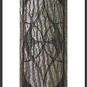 COMPOSITION WITH BARK photo 56 x 99 cm